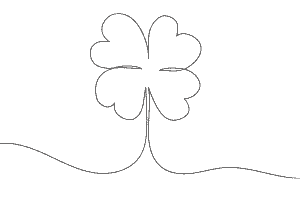shamrock new